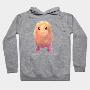 cute watercolor bunny sweet watercolour rabbit Hoodie